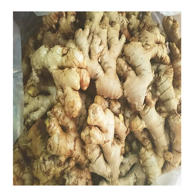 Wholesale organic fresh ginger cheap price high quality from Vietnam newest crop free tax jengibre fresc to EU Ukraina Korea