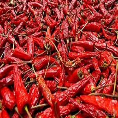 Frozen Red Chilli Low MOQ Cheap Price Best Brand Supplier Wholesaler From Vietnam Top Quality Hot Selling For Export