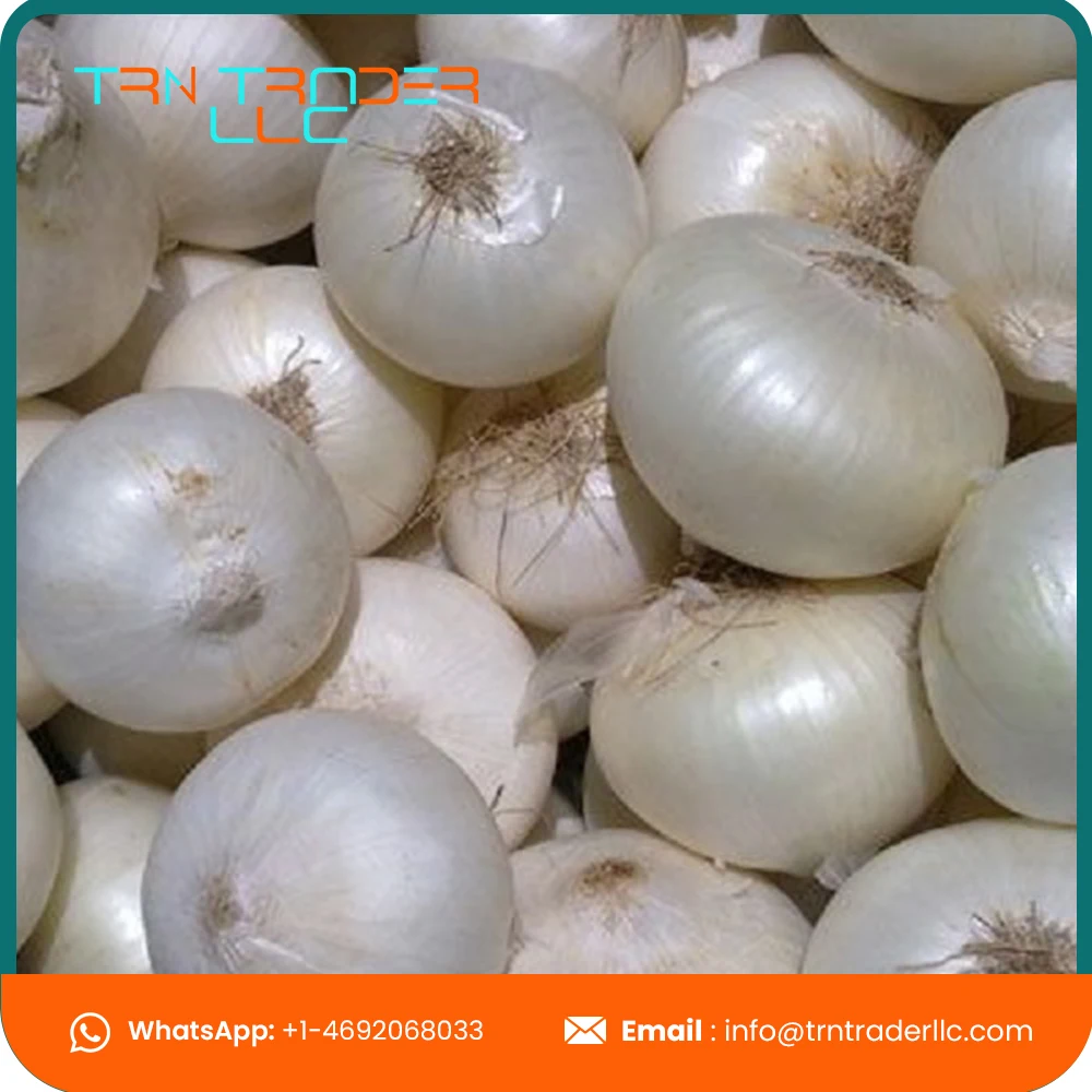 Лучшее качество широко продаваемый натуральный Овощной свежий красный и желтый лук от поставщика из США