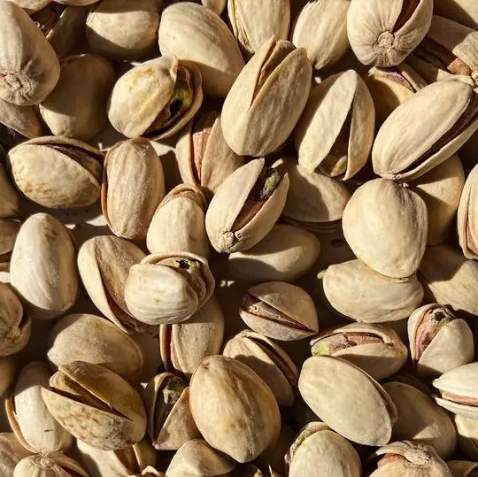 pistachios nut 3.jpg