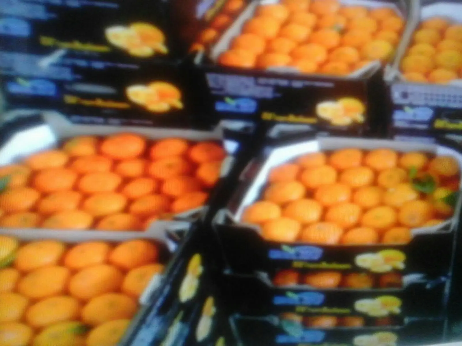 Свежий апельсин -- по низкой цене доступной для экспорта 2021