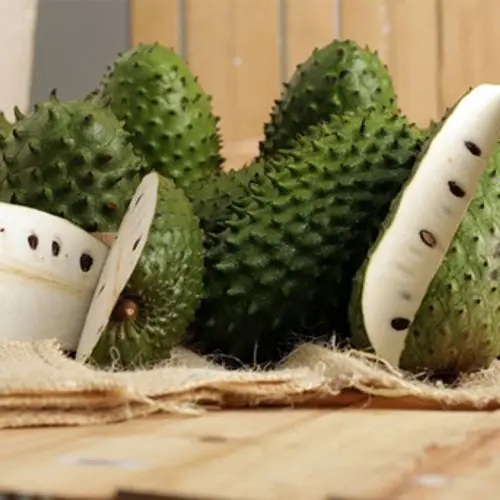 FRESH SOURSOP/ GRAVIOLA - WHOLE YEAR SUPPLY - 2023 GOOD PRICE