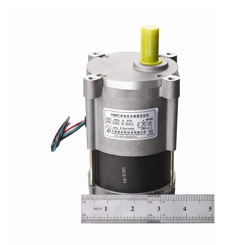 Small Electric Variable Speed Induction Motor