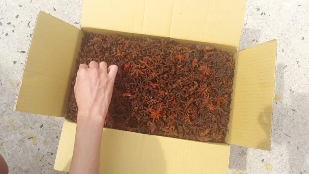 SALE OFF!! STAR ANISE- FACTORY PRICE 0084327008393 whatsapp