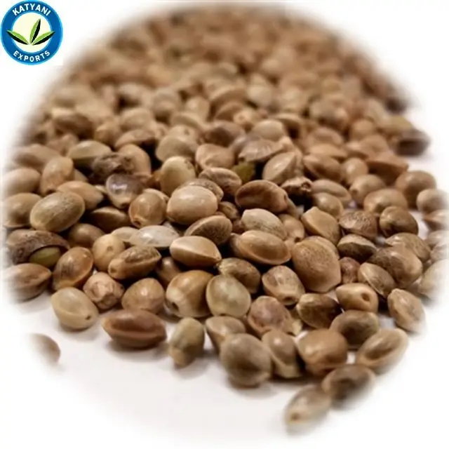 Fresh Hemp Seed Oil/ 100% Organic & Natural Oil
