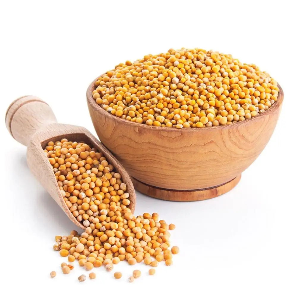 First Grade Organic Mustard Seeds Wholesaler in Germany