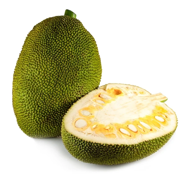 JACK FRUIT SEEDS/ FRESH JACK FRUIT HIGH QUALITY FROM VIETNAM YUMMY