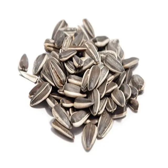 sunflower seed .jpeg