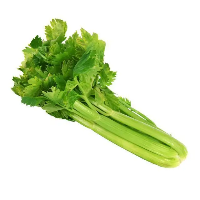 Vegetable Cauliflower Cabbage / China supply for sale fresh celery