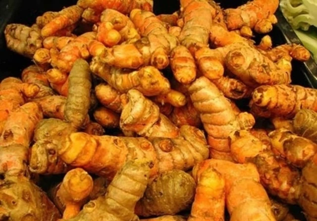 The most competitive price fresh tumeric in Viet Nam - Whatsapp: +84-845-639-639
