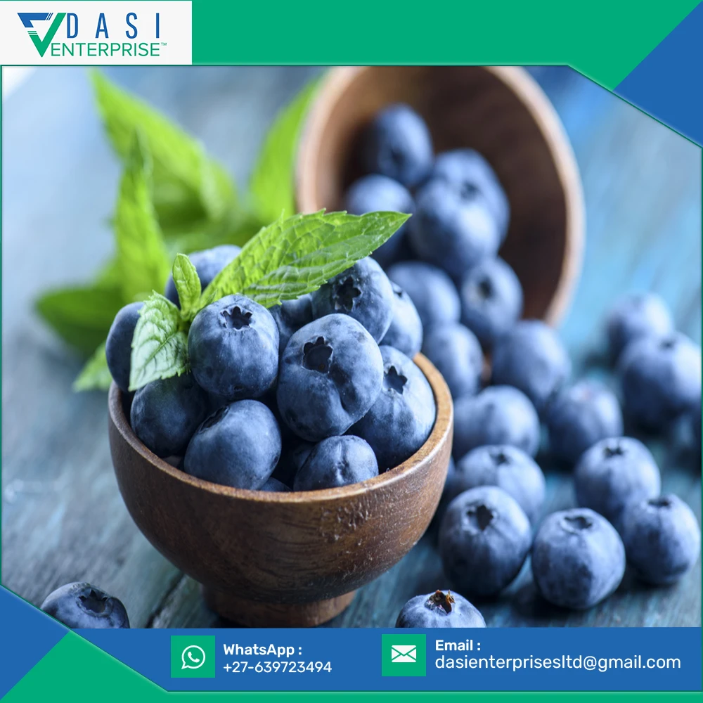  Original Manufactured Best Price Healthy Fresh Small Sized Blueberries Available At Low Market