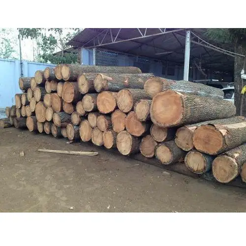 PINE SPRUCE BIRCH OAK TEAK ASH LOGS/TIMBER and eucalyptus timber wood logs