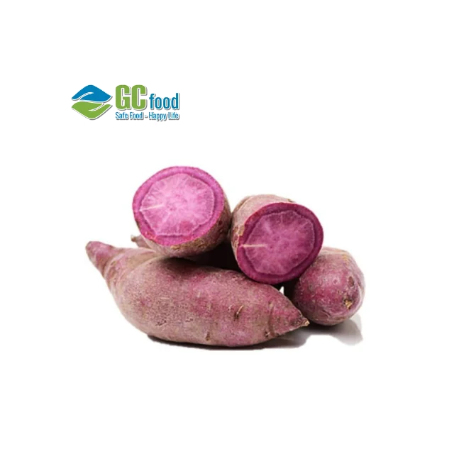Оптовая продажа сладкий картофель (фиолетовый) свежий урожай 100% зрелой 10 кг Размер 12 см сделано в вьетнаме