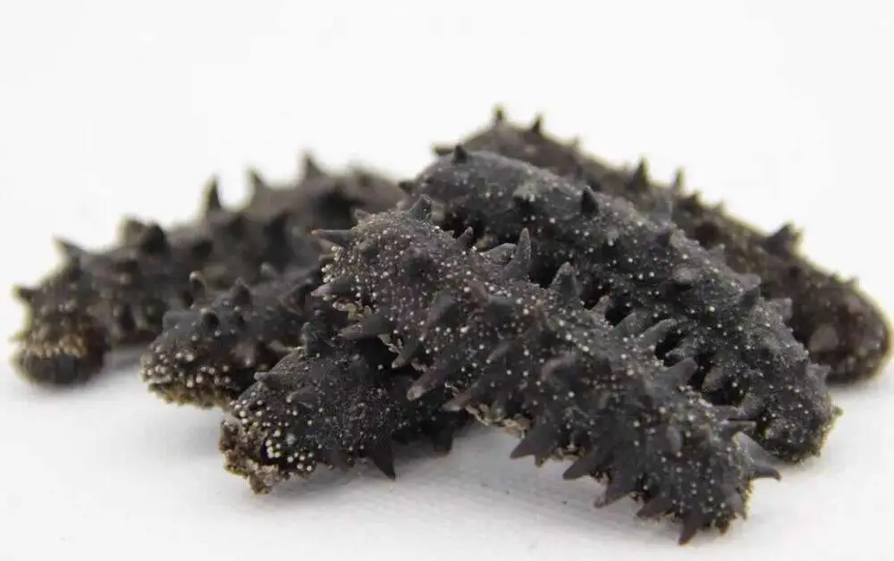 Dried Sea Cucumber / Jolie +84 797228747
