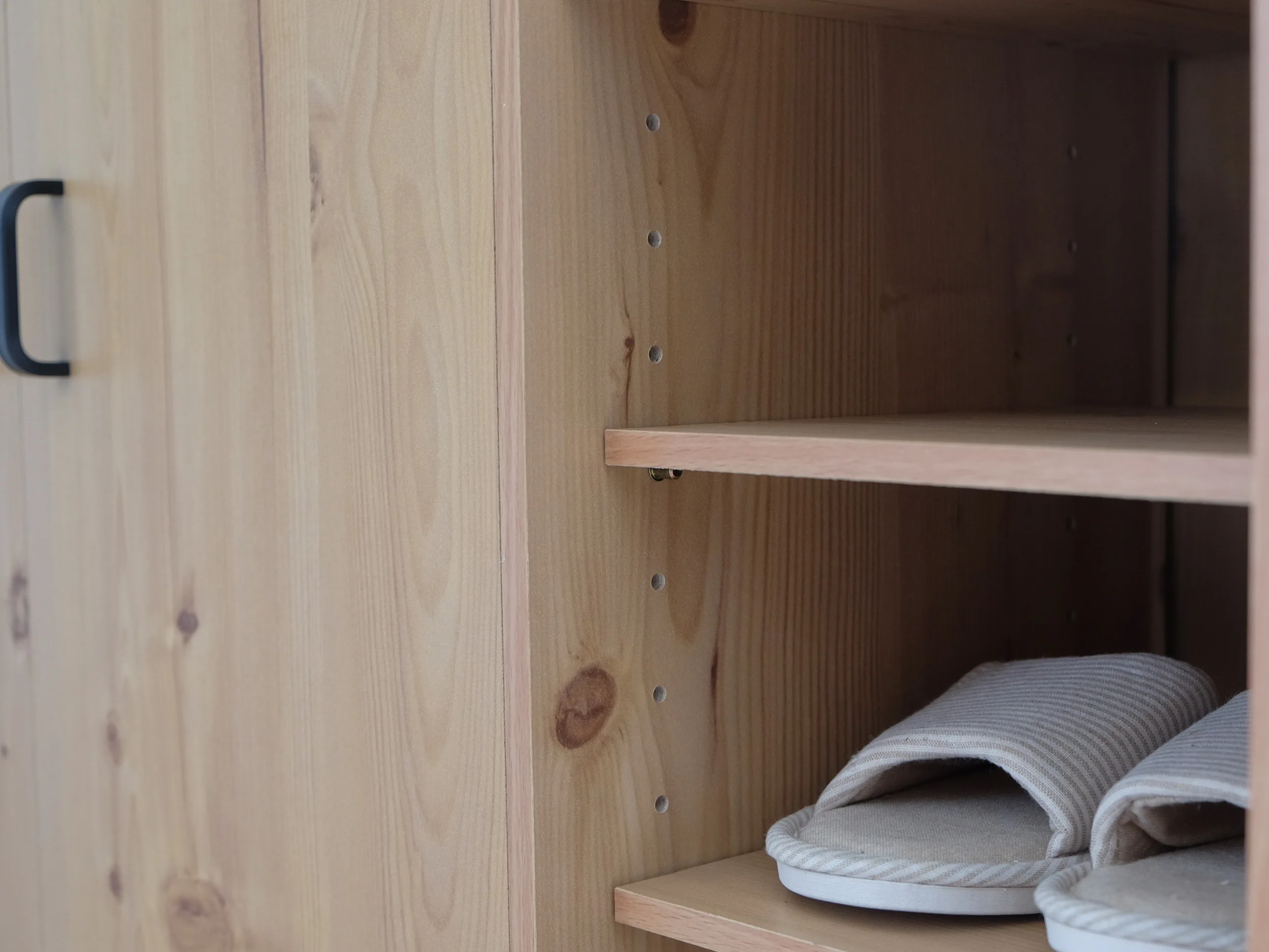Modern shoe cabinet with double door for living room