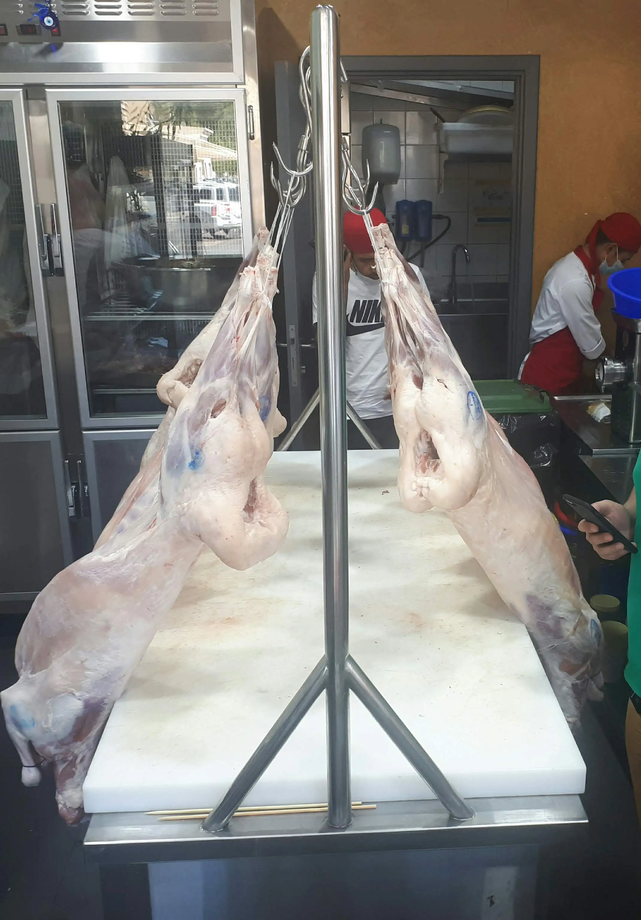 
The great taste Halal Lamb meat from Kazakhland Fresh/chilled 