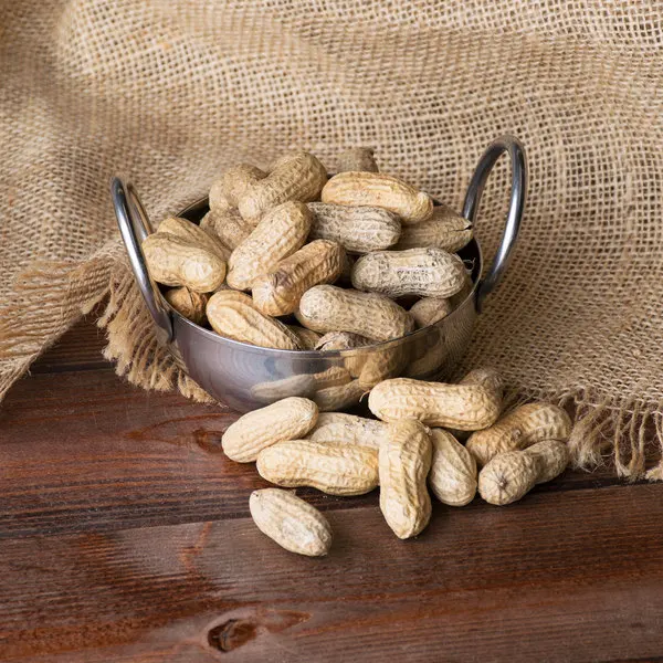 high quality pakistani Peanut