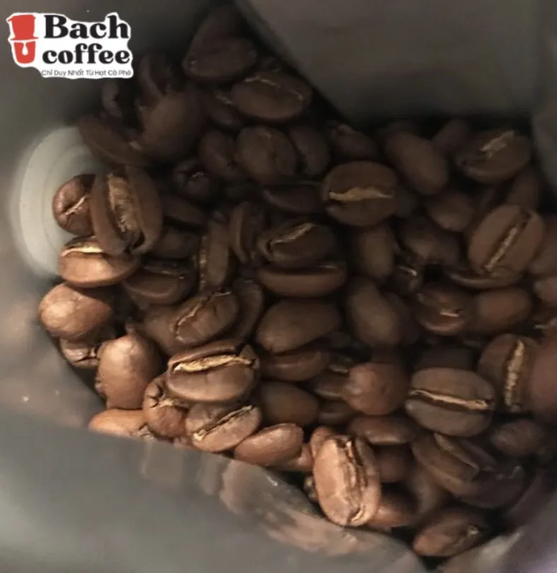 Кофейный порошок Moka-классическое среднее обжарение-00% Арабика зерна Подпись итальянская смесь-Премиум лакомство жареный кофе-Пакет 250 г