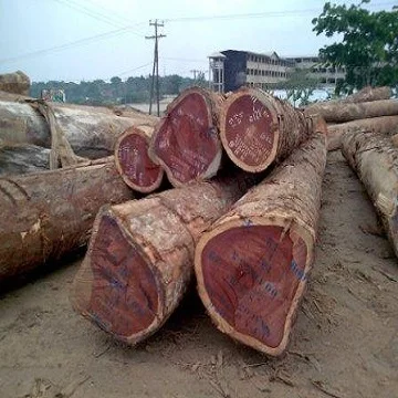 High Quality Teak Timber Logs Teak Timber Timber Logs Wood for sale