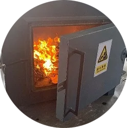 KTL100 Kg Small Electric Hospital Medical Waste Incinerator with CE Certificate