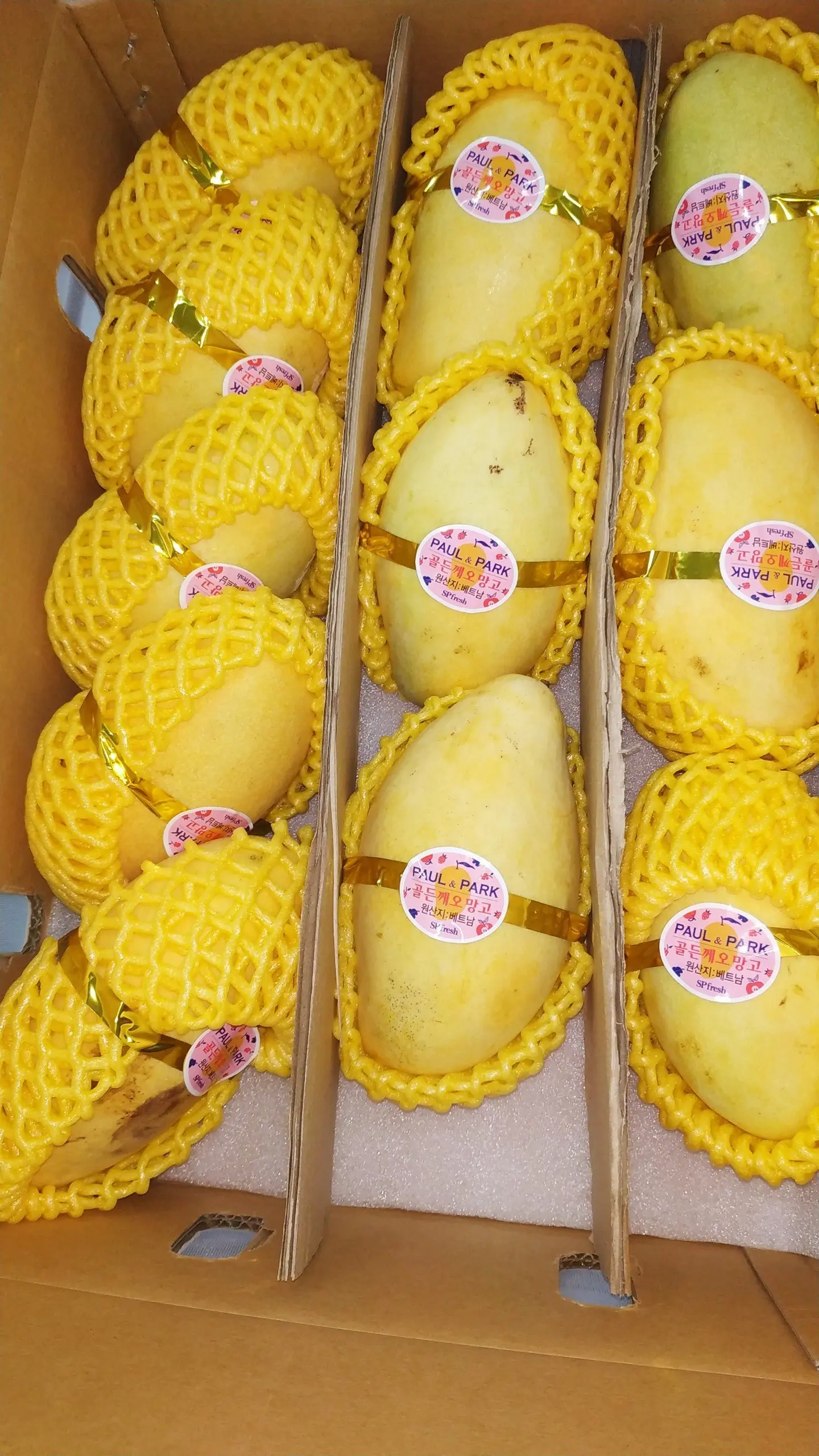 keo mango for export improve health origin in Vietnam sells in bulk
