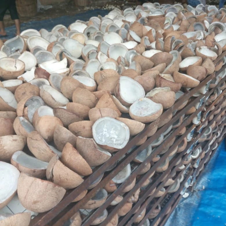 Copra or Dried Coconut from Indonesia. Good price and Quality