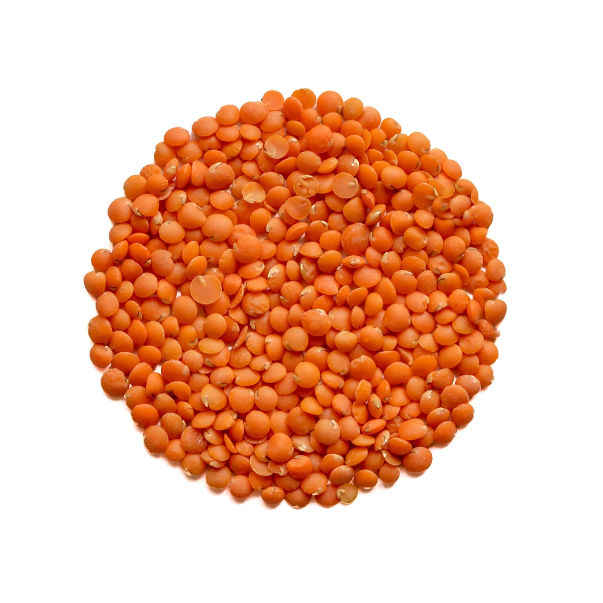 
Wholesale red lentils in stock 