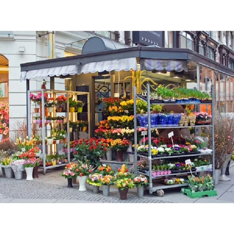 Новый стиль, торговый центр, цветочный киоск, дизайн, Цветочная витрина, полка для продажи