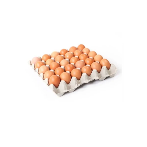 Best Selling Chicken Eggs Cobb 700 Cobb 500 Ross 308 Fertile Hatching Eggs