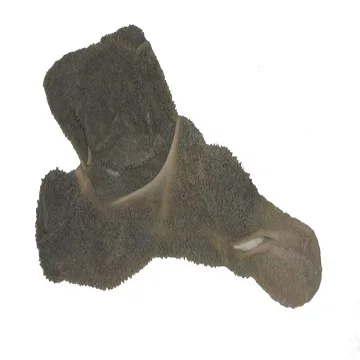 TOP QUALITY FROZEN LAMB GREEN TRIPES