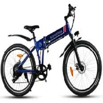 Electric Motor High Power Wholesale Directly Brushless 48V 250W Bike Mountain 750w Max LED Light OEM Frame Battery Time Charging