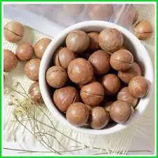 Орехи макадамии сырые органические вьетнамские сушеные обычные орехи