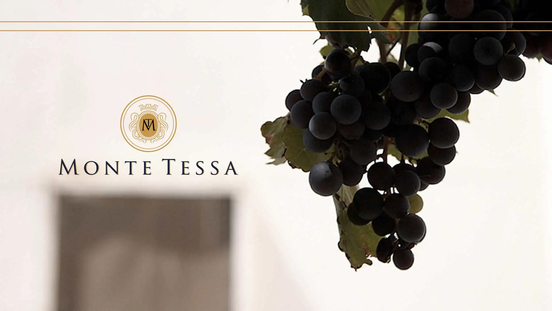 
Hot sales PRIMITIVO 1890 - IGP Red Wine 2018 Made in Italy 