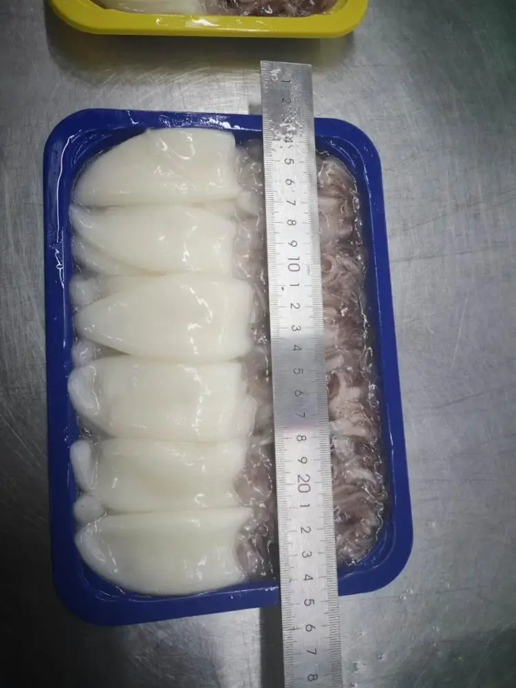 
Loligo Duvauceli (Whole round) 