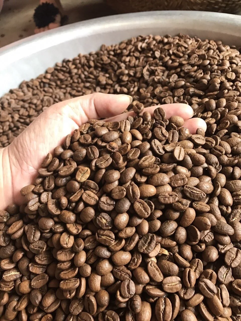 
ROAST ARABICA ROBUSTA KOREAN MARKET OEM SERVICE PRIVATE LABEL +84765149122 