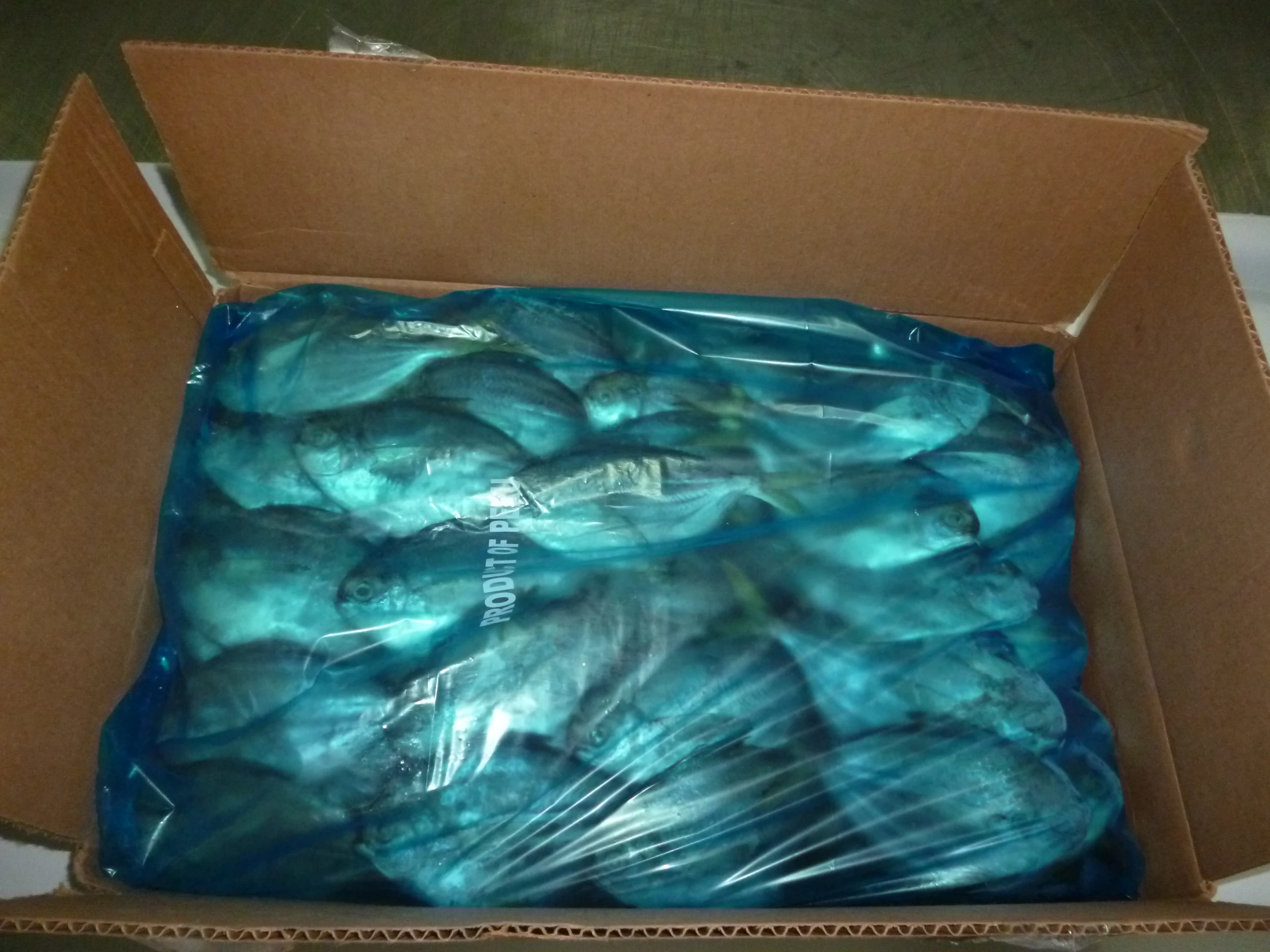 Butterfish Whole Round (Peprilus Medius)