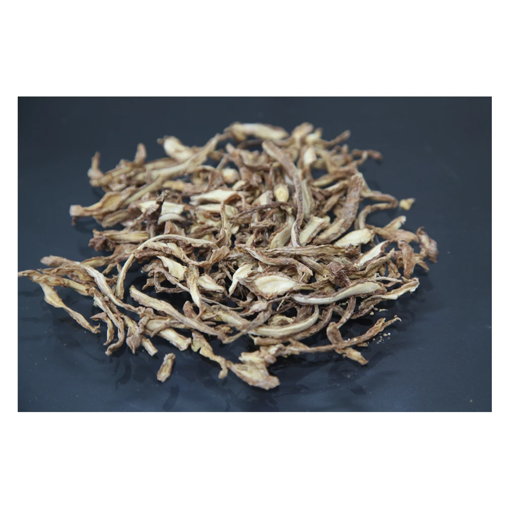 Manufacturer Supply Low Price Dried Finger root Organic And Premium Quality Herb from Thailand