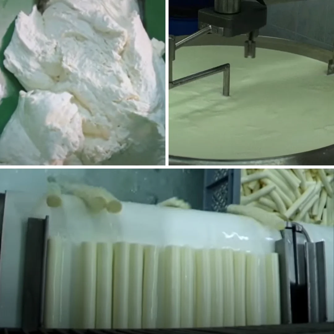 Premium Italian Grana Cheese Protected designation of origin (PDO) for Wholesale Retail Horeca