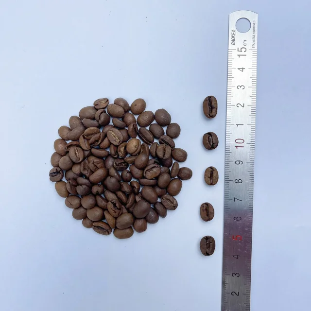  Аутентичный Лучший в мире вьетнамский кофе Arabica по хорошей цене Зеленые зерна оптовая продажа