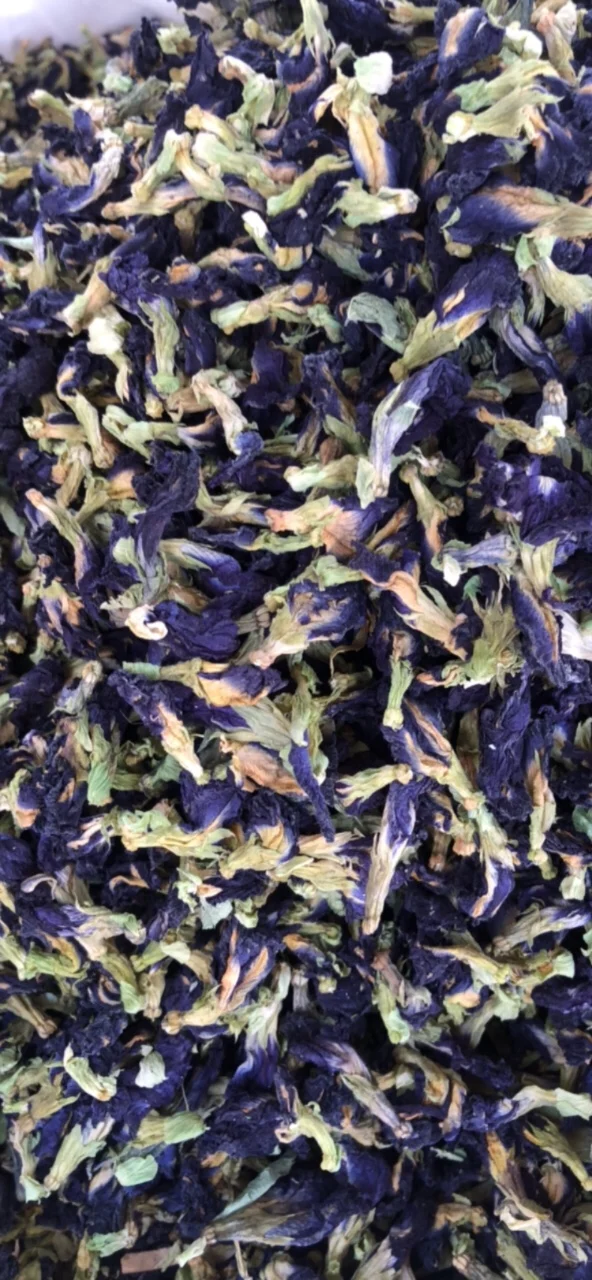 Health Benefits Blue Flower Tea / Best Blue Tea from Dried Butterfly Pea Flowers (WhatsApp: +84 901 006 904)
