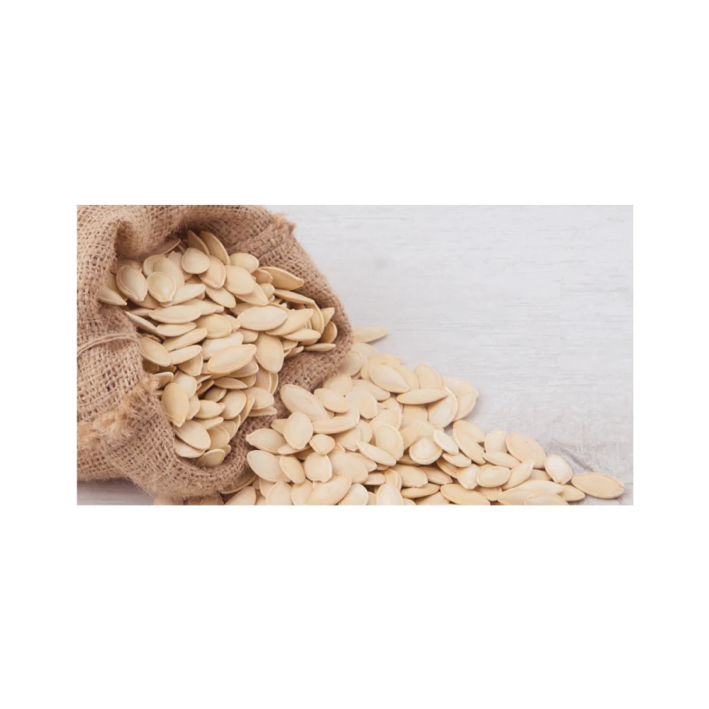 Premium Quality Pumpkin Seed Kernel from Turkey Wholesale Product - The Most Preferred Pumpkin Kernels