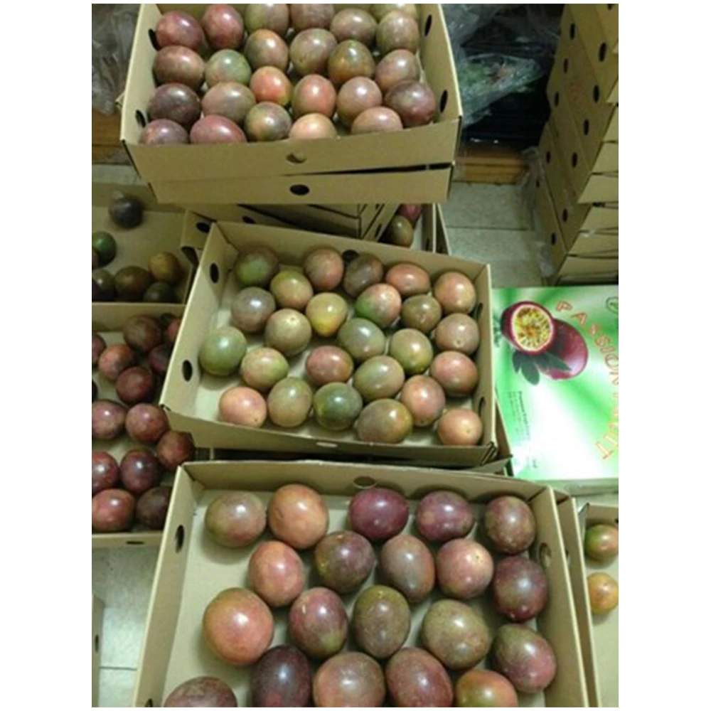 Concentrated Passion Fruit Juice For Shop Beverage Fruit factory direct from Vietnam