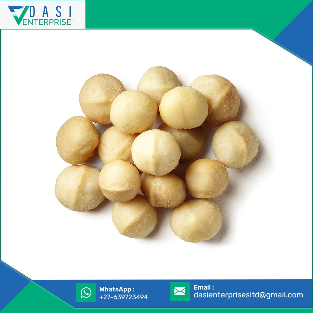 Great Stock Clearing Of Raw Natural Grown Macadamia Nuts For Extract Oil At Cheap Rates