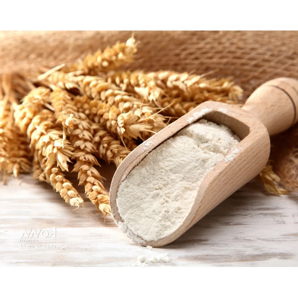 High quality from Australia Recommended Best Price 0.5kg Nutrition Flour Fresh White Organic Grain Oat Meal