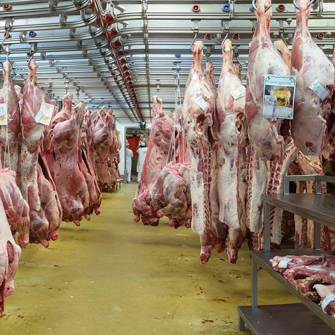 Frozen boneless Beef Meat