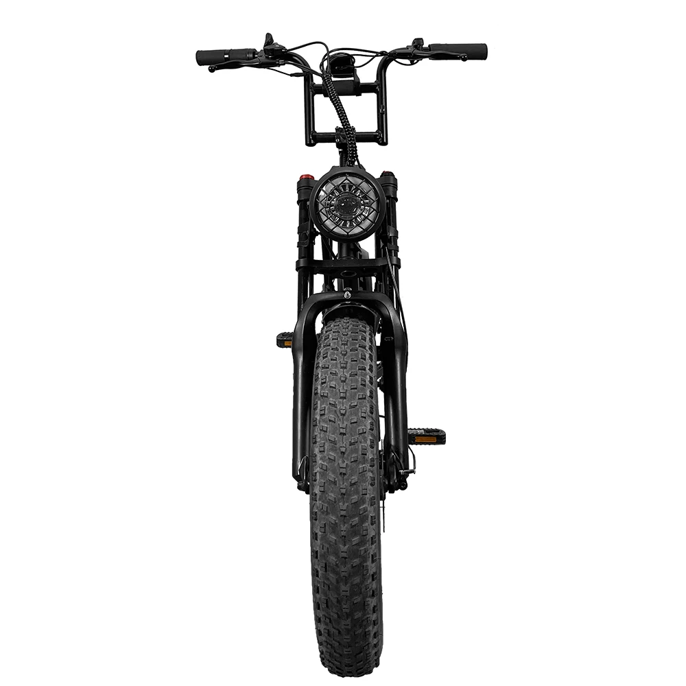 2021 fat tire folding electric bike/folding bike 7 speed mini folding bike 20 folding bikes for sale/shock absorbing bicycle