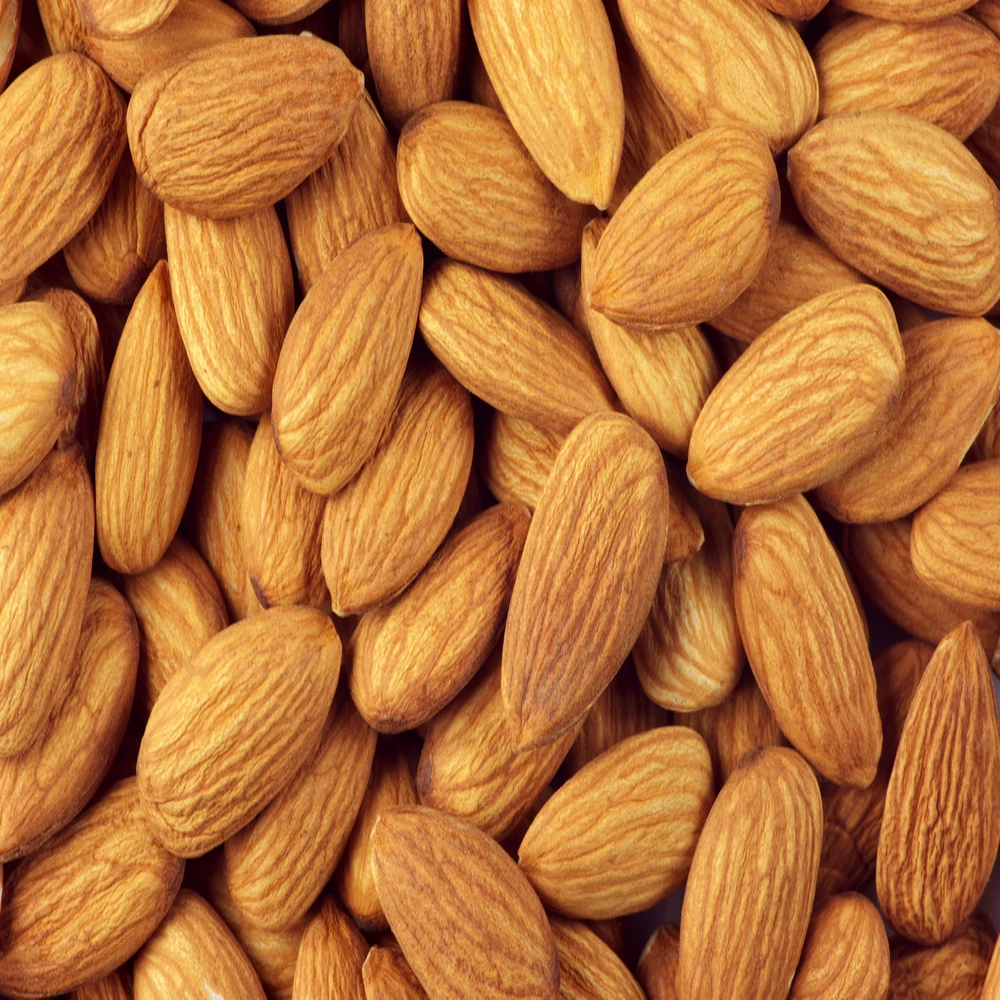 Almond Factory Wholesale Cheap Price Nutritional Baked Sweet Almond Delicious Apricot Kernels