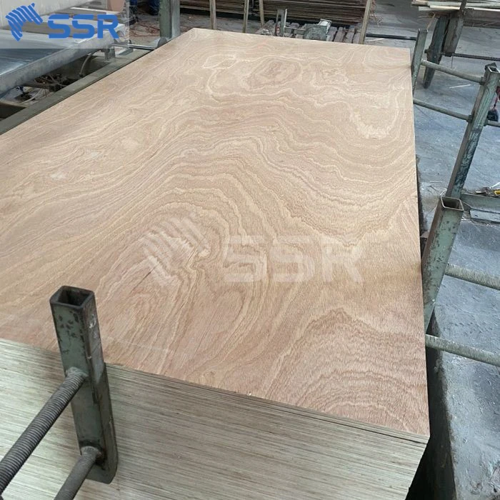 Birch/ Poplar/ film faced plywood and plywood sheets for furniture/ construction/ packing