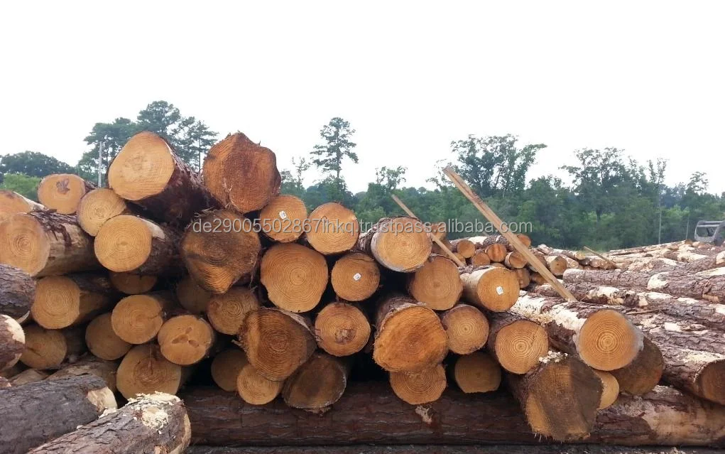 Southern-Yellow-Pine-Logs.jpg
