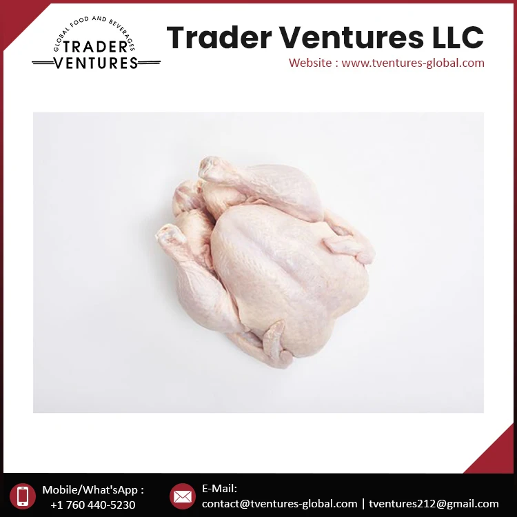 Халяльная замороженная Курица высшего качества цельная курица с или без грызунов